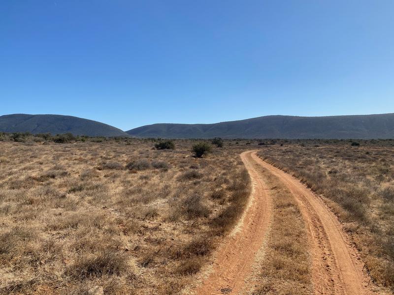 0 Bedroom Property for Sale in Kirkwood Eastern Cape